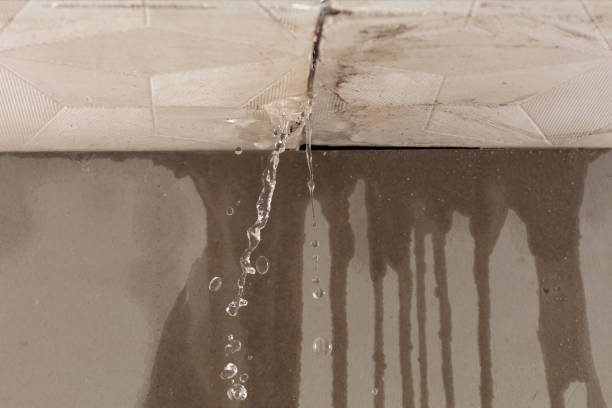 Professional Structural Drying technician working in Paso Robles, CA